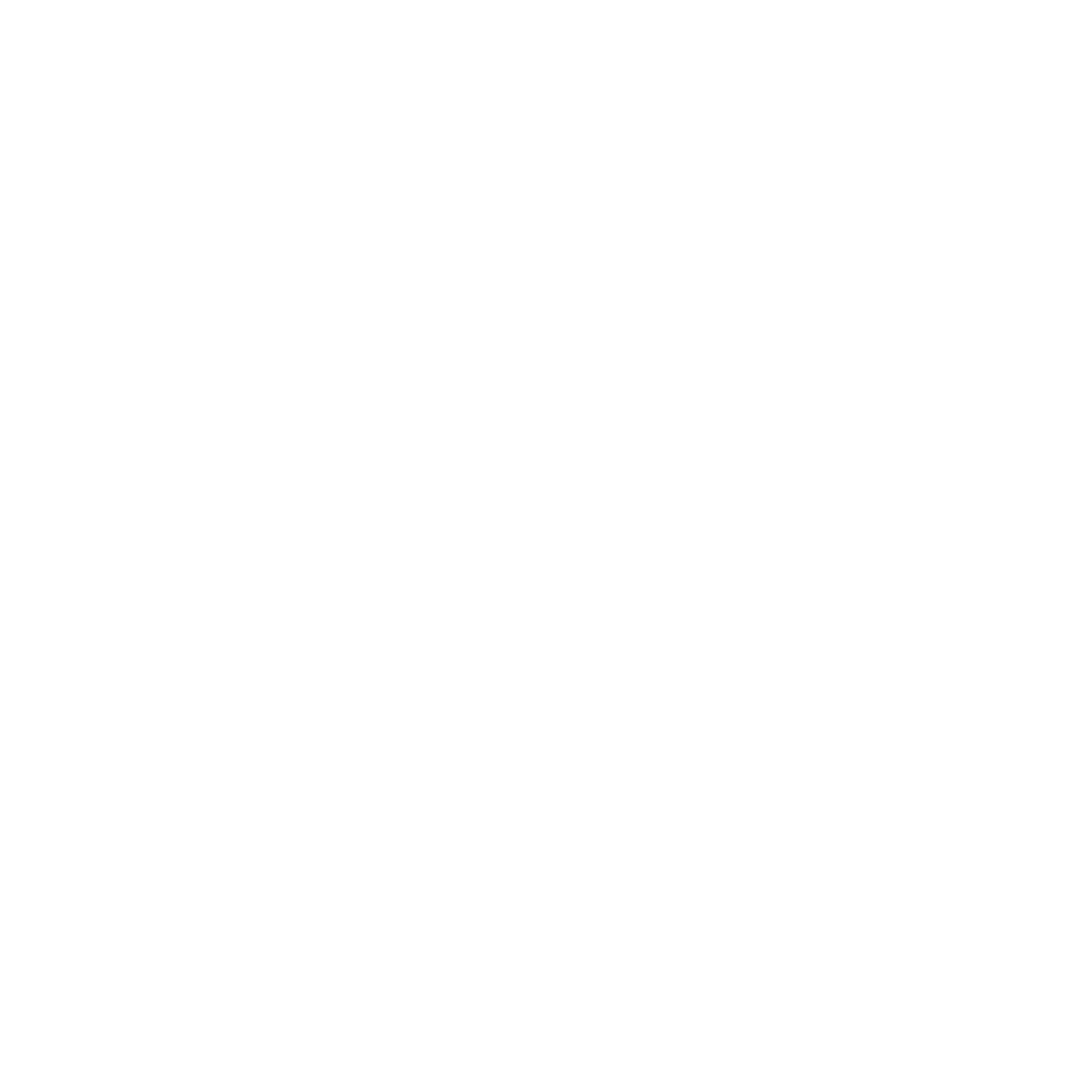 RAZA Marketing logo